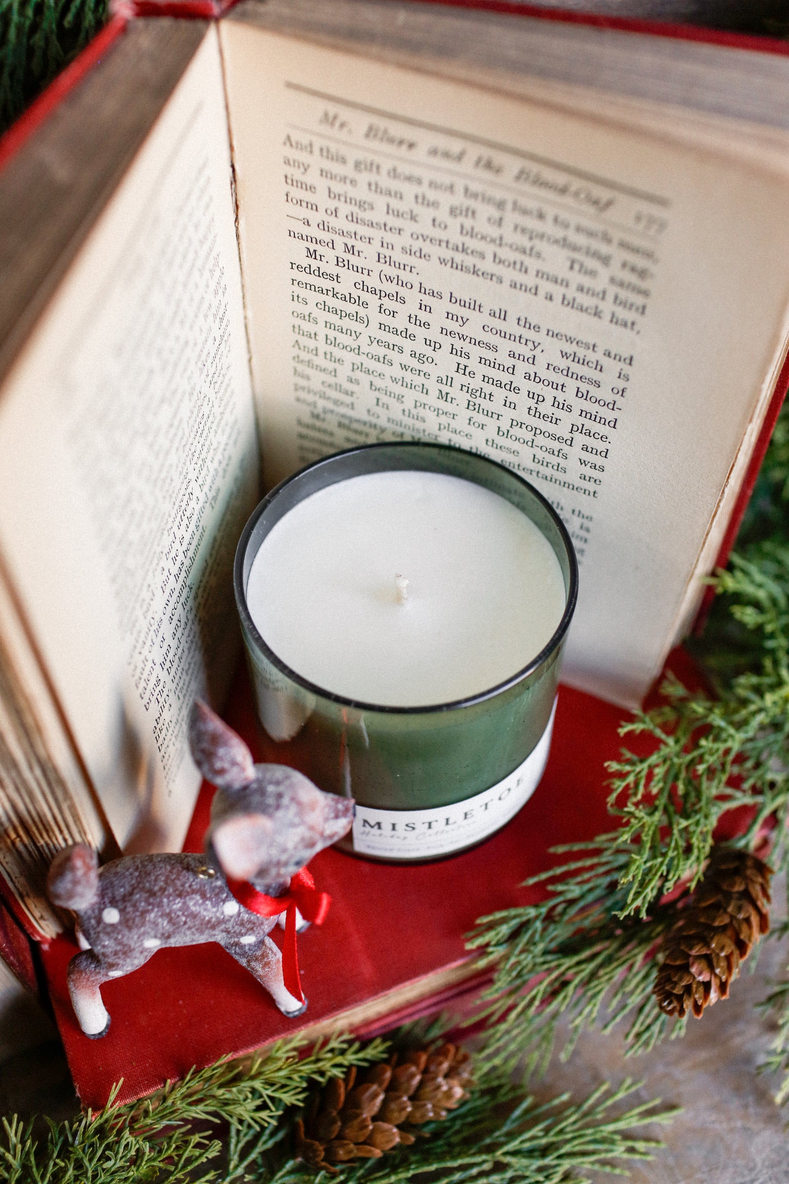 Olive Seeded Candle-Mistletoe