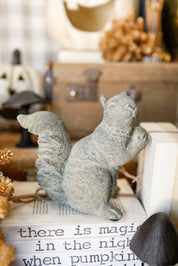 Concrete Squirrel Figurine