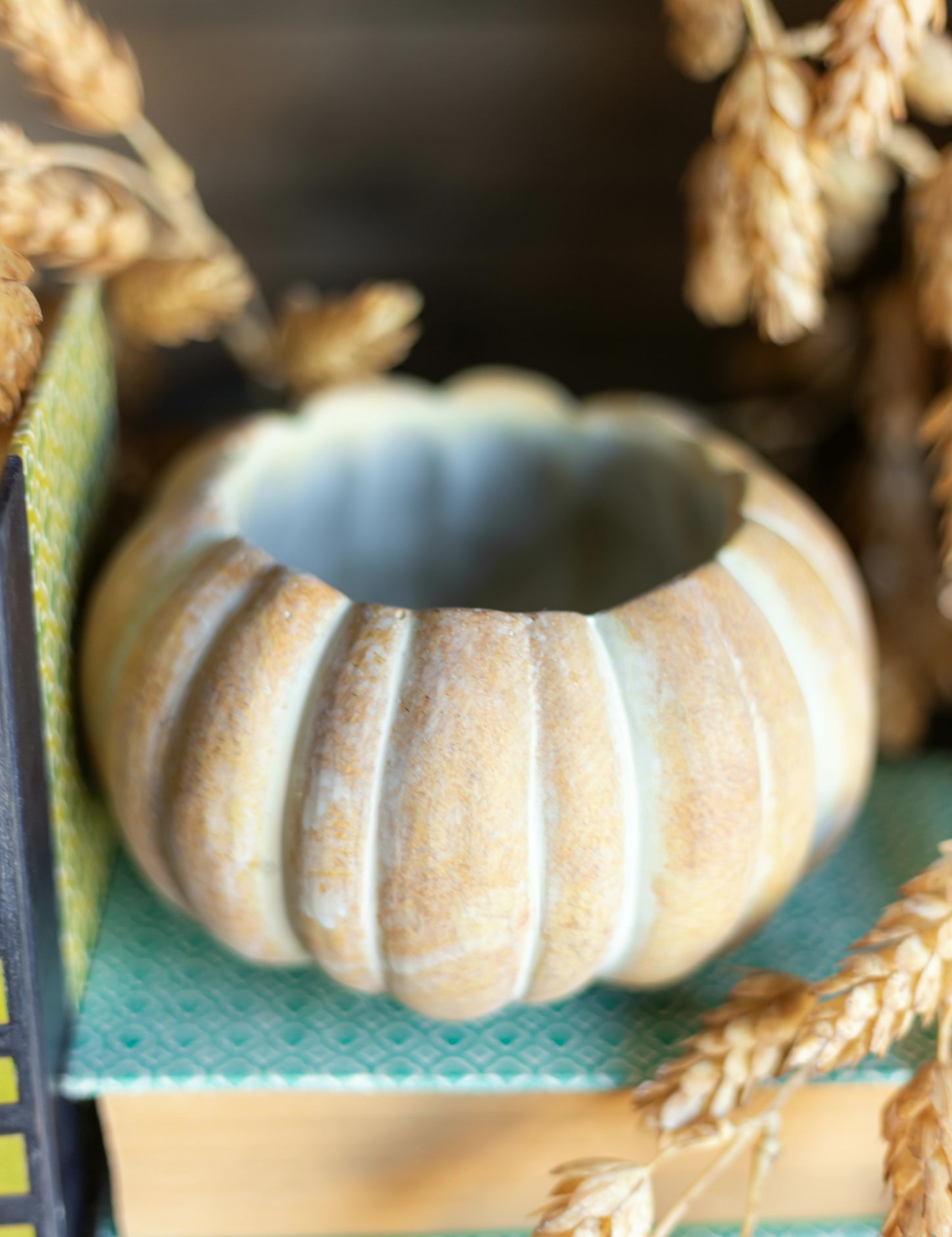 Cinderella Pumpkin Pot The Little Burlap Barn