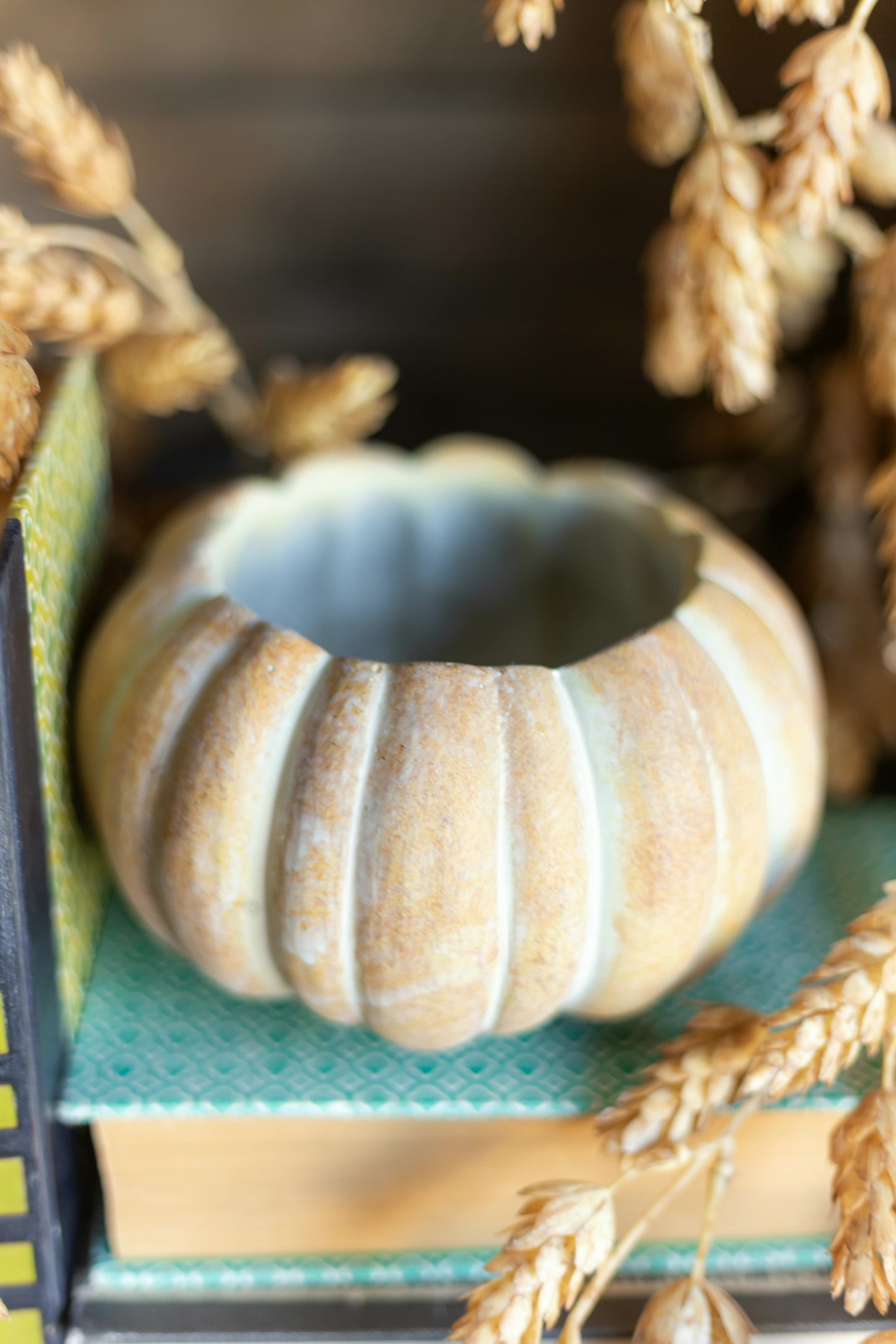 Cinderella Pumpkin Pot The Little Burlap Barn