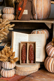 Unscented Pinecone Taper Candles Creative Co-Op