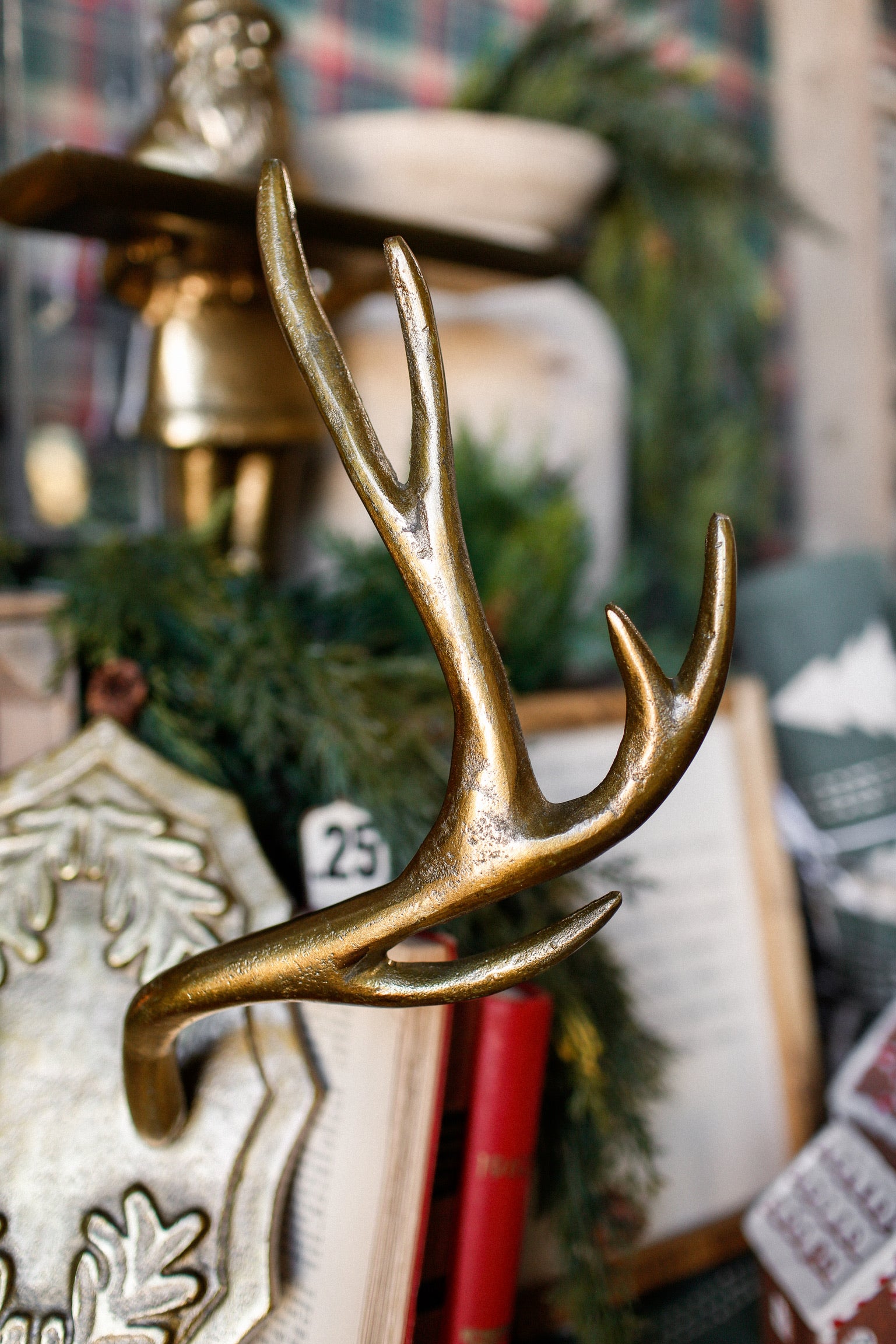 Oakdale Antler Mount (L)