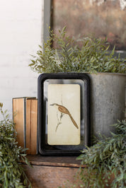 Bird Framed Picture The Little Burlap Barn®