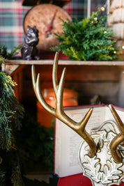 Oakdale Antler Mount (S)