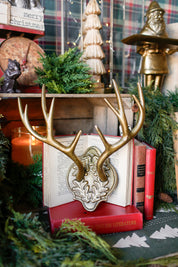 Oakdale Antler Mount (S)