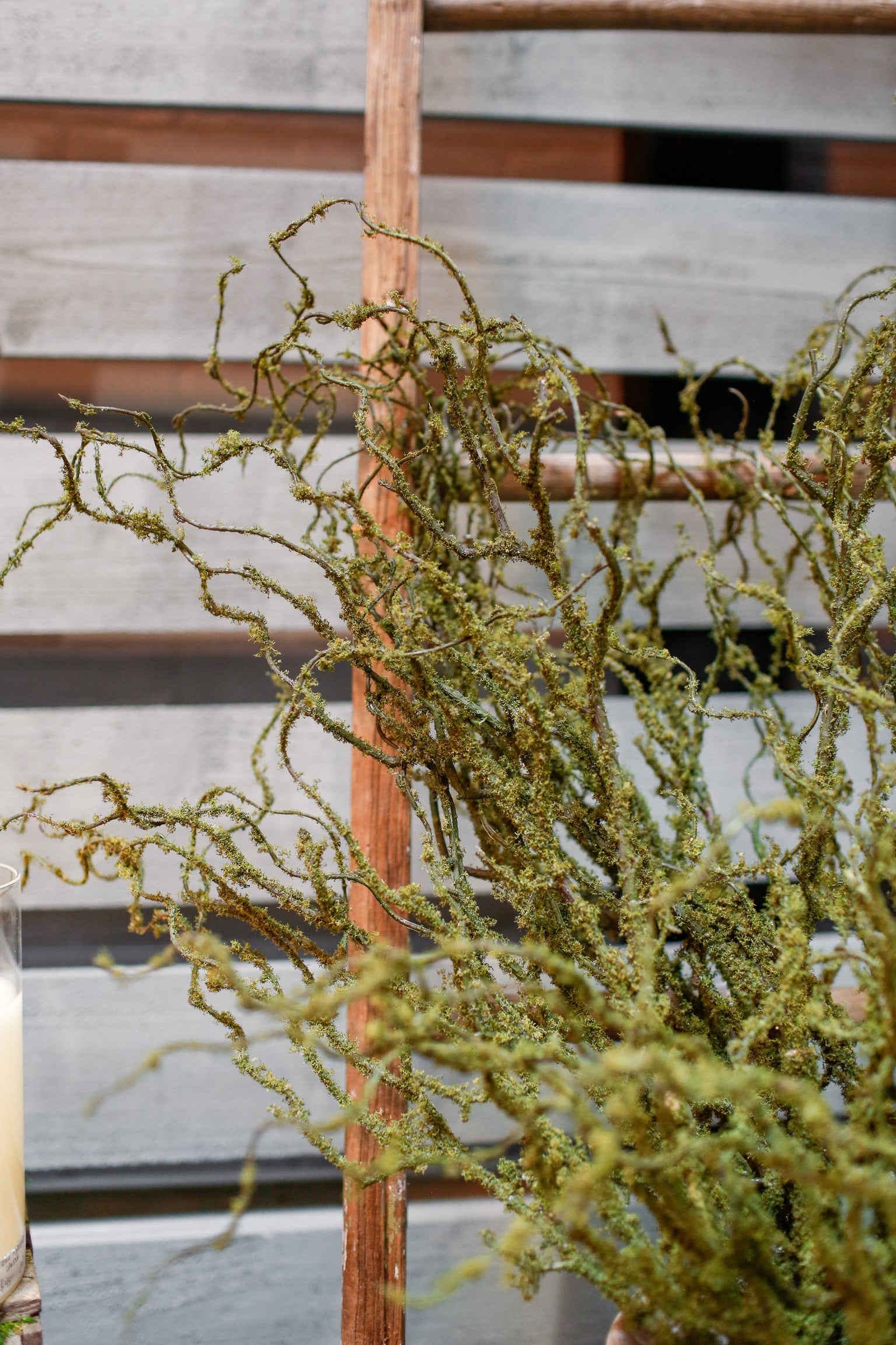 Meadow Moss Branch The Little Burlap Barn®