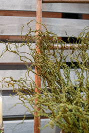 Meadow Moss Branch The Little Burlap Barn®