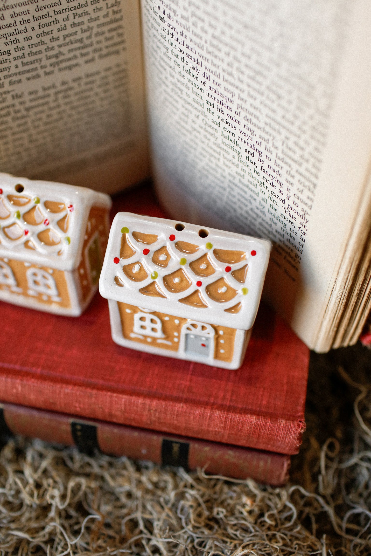 Gingerbread House S+P Shakers