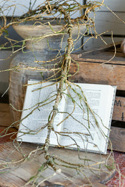 Bramble Garland The Little Burlap Barn