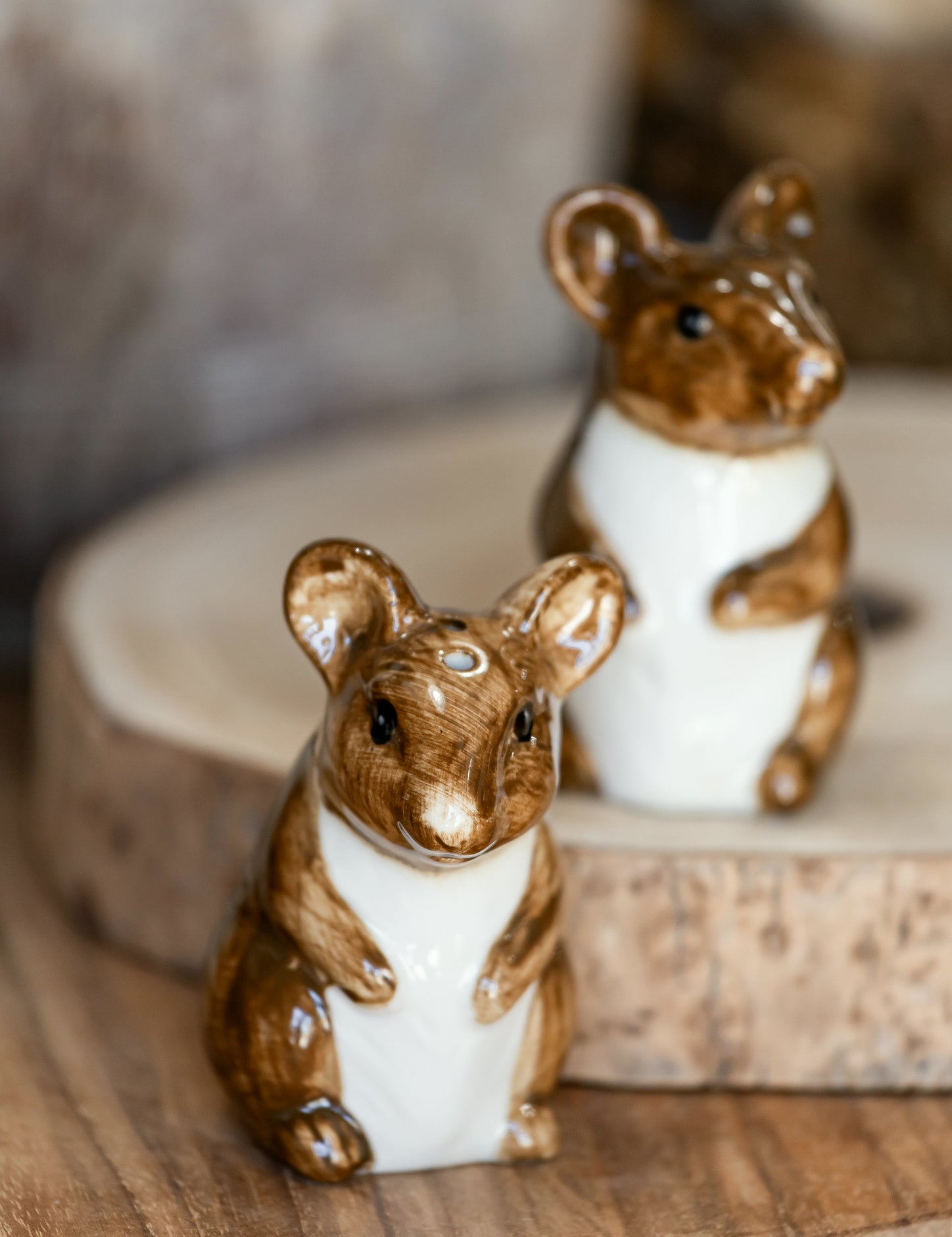 Hand-Painted Stoneware Mouse Salt and Pepper Shakers Creative Co-Op