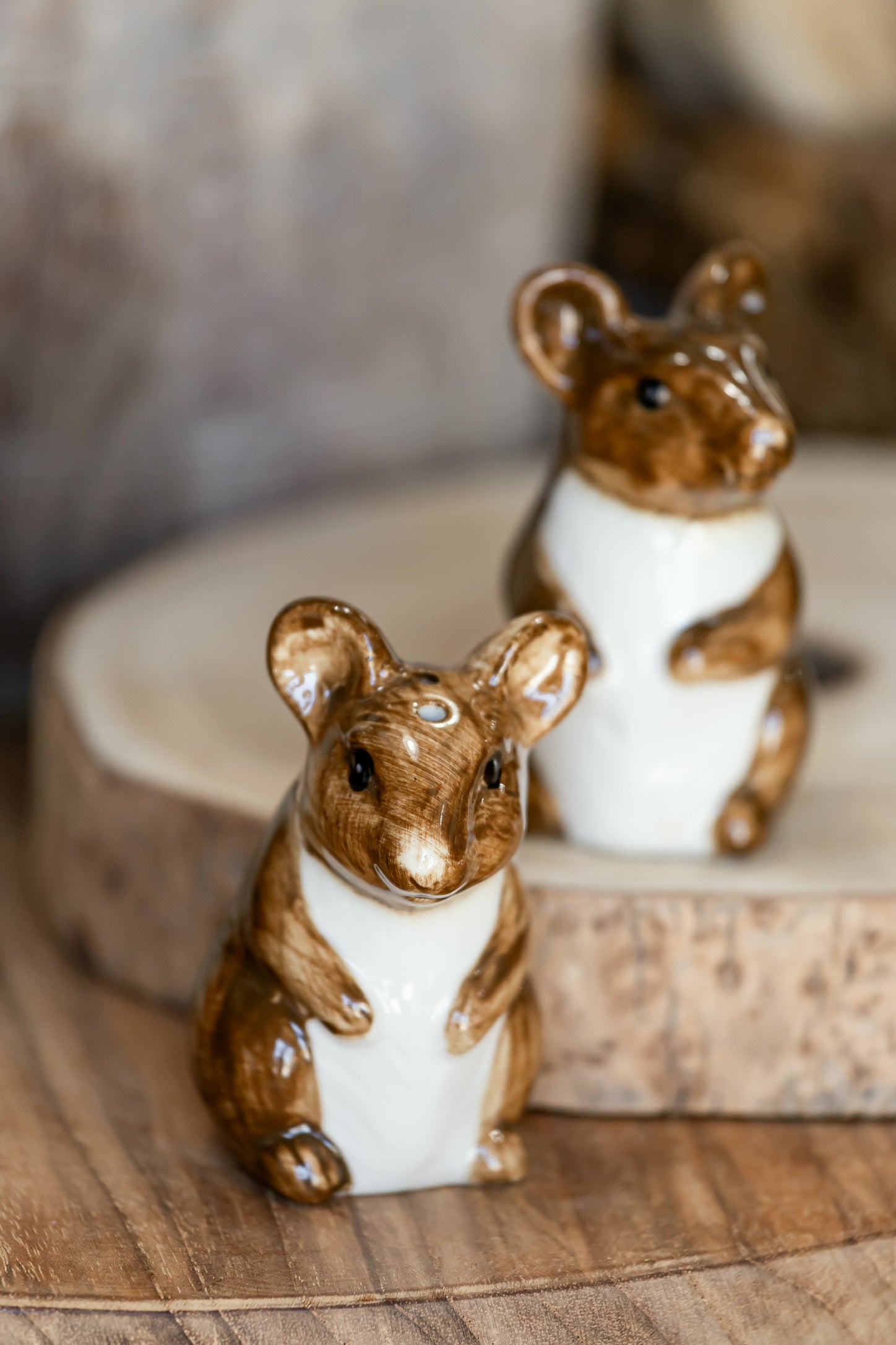 Hand-Painted Stoneware Mouse Salt and Pepper Shakers Creative Co-Op
