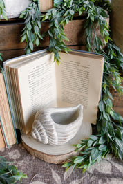 Conch Planter