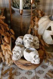 Concrete Mini Skull