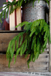 Norfolk Real Touch Cedar Stem