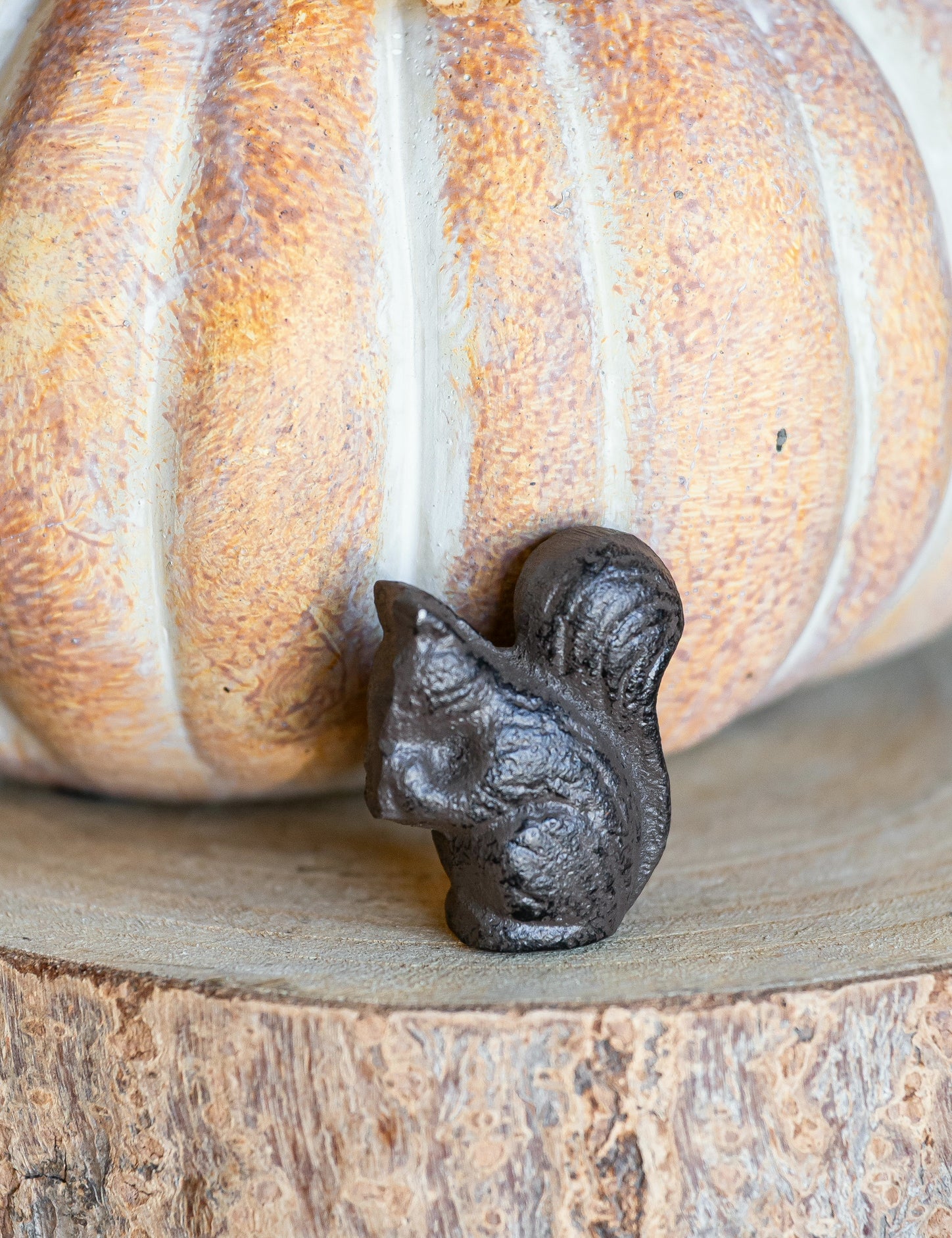 Cast Iron Squirrel The Little Burlap Barn