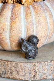 Cast Iron Squirrel The Little Burlap Barn