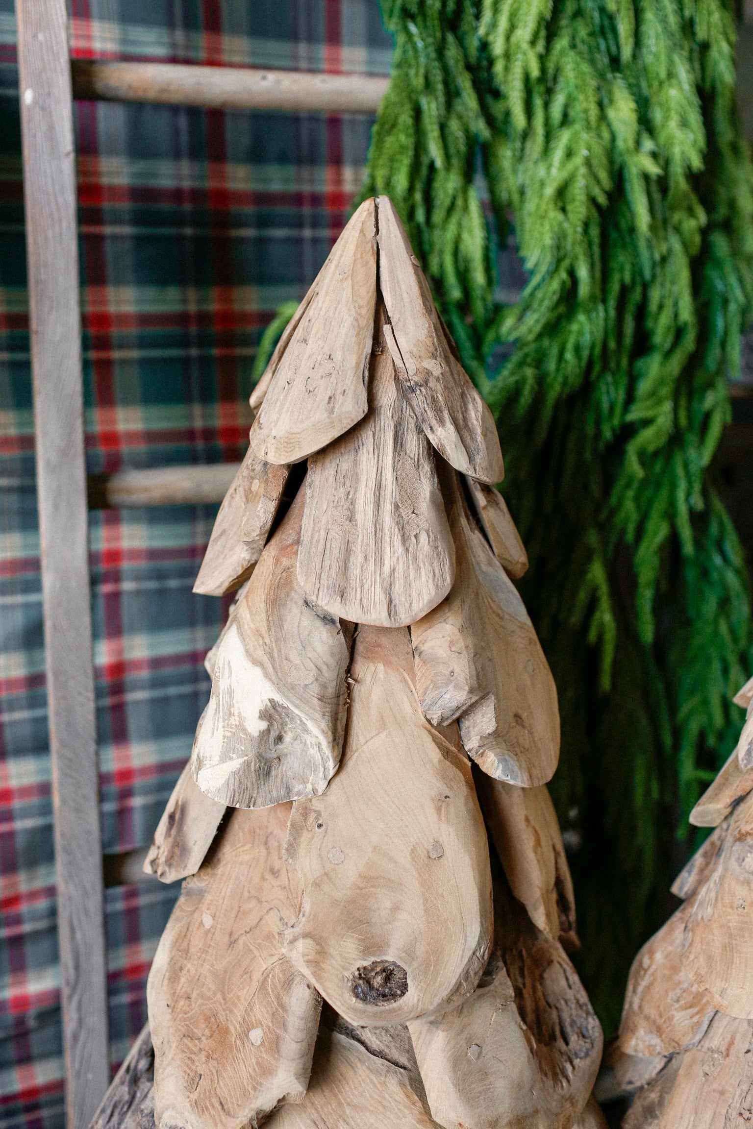 Rustic Teak Wood Tree