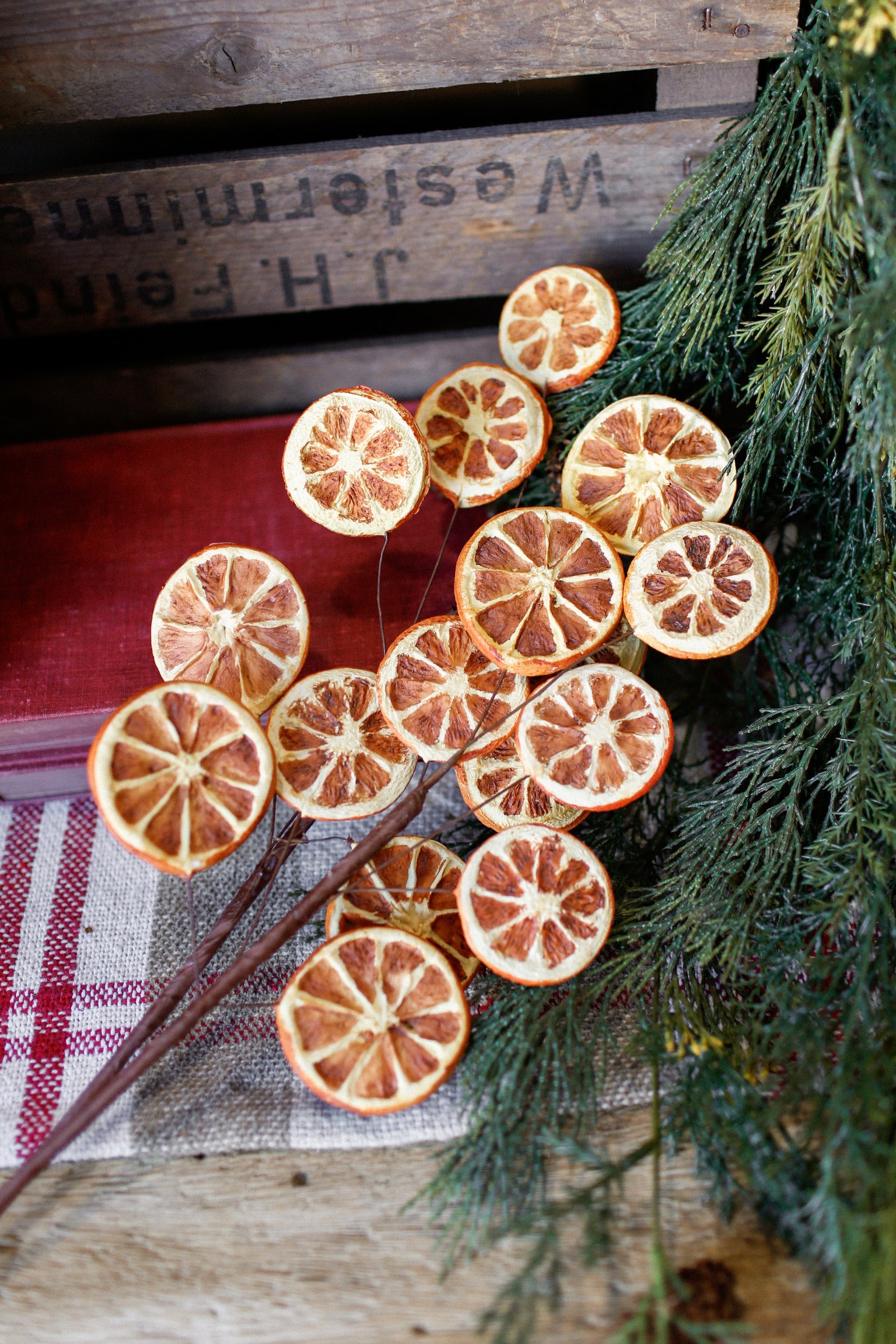 Dried Orange Slice Branch