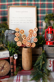 Dried Orange Slice Branch