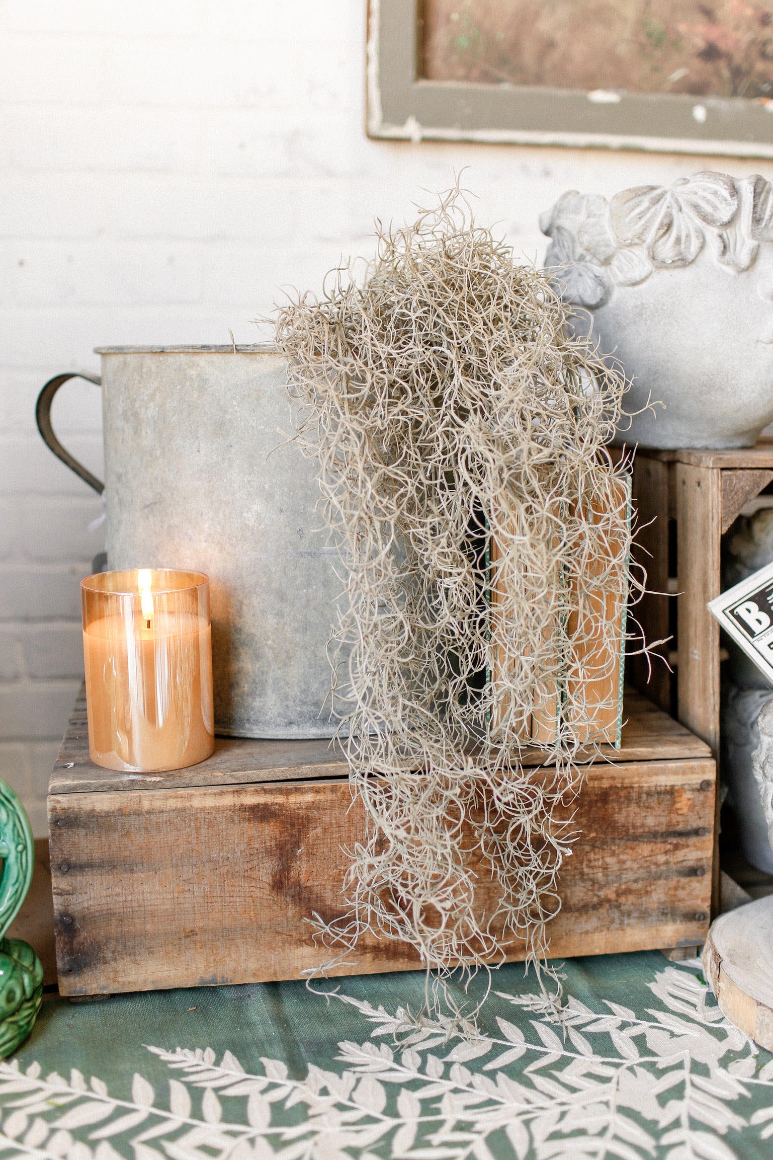 Spanish Moss Hanging Stem The Little Burlap Barn®
