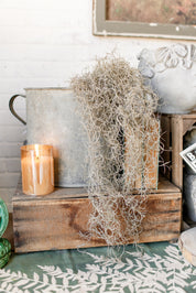 Spanish Moss Hanging Stem The Little Burlap Barn®