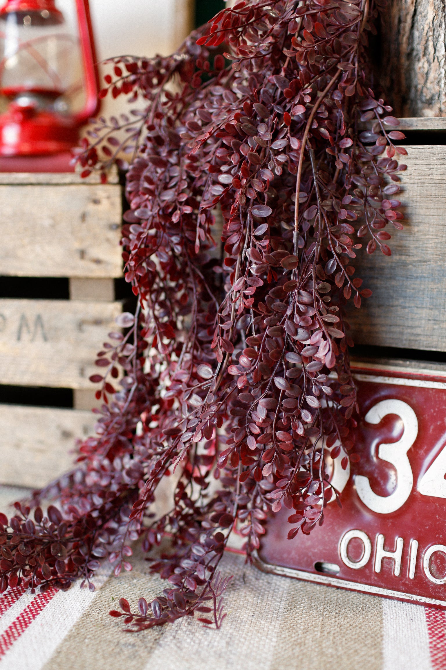 Red Leaf Hanging Stem