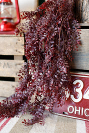 Red Leaf Hanging Stem