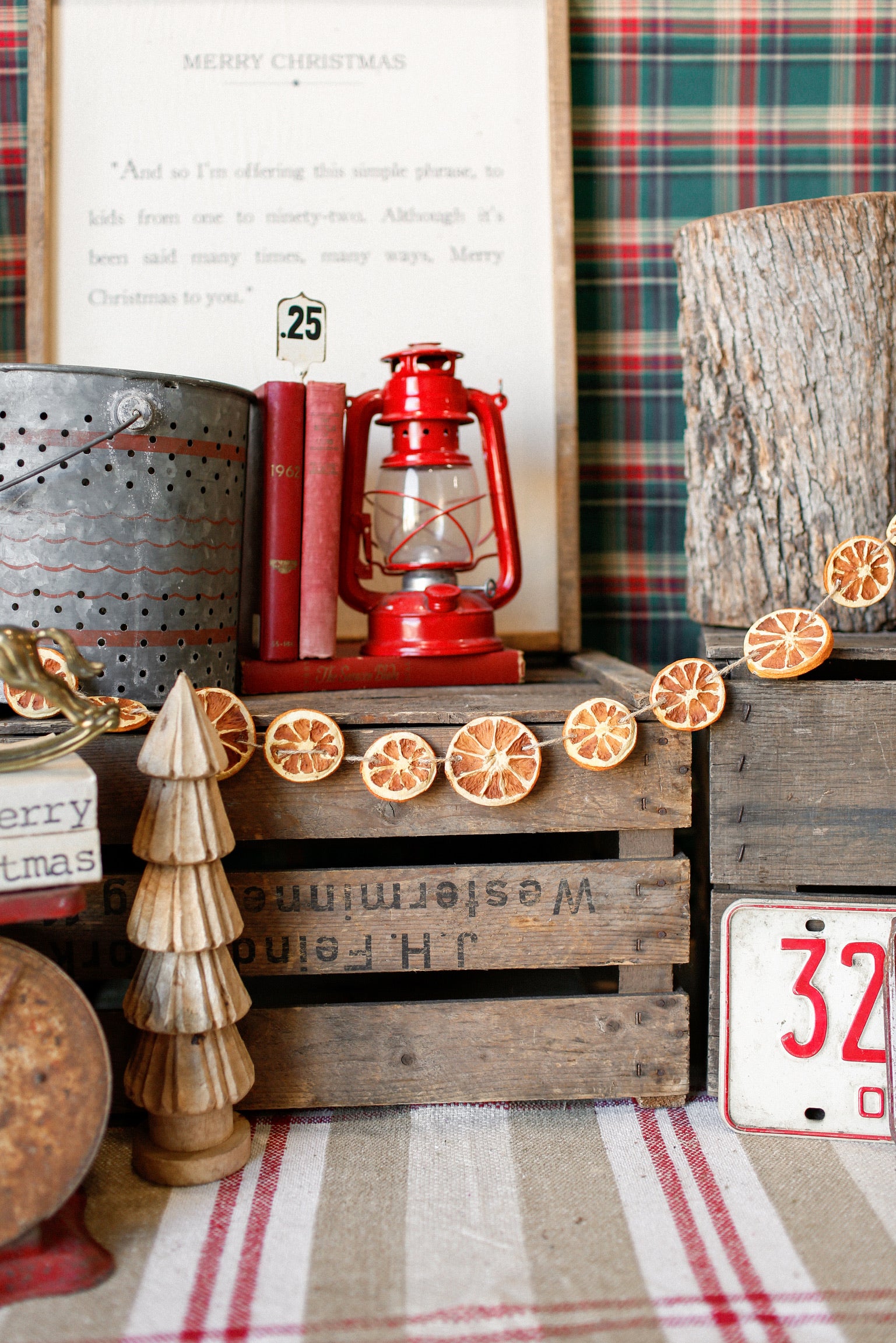 Dried Orange Slice Garland
