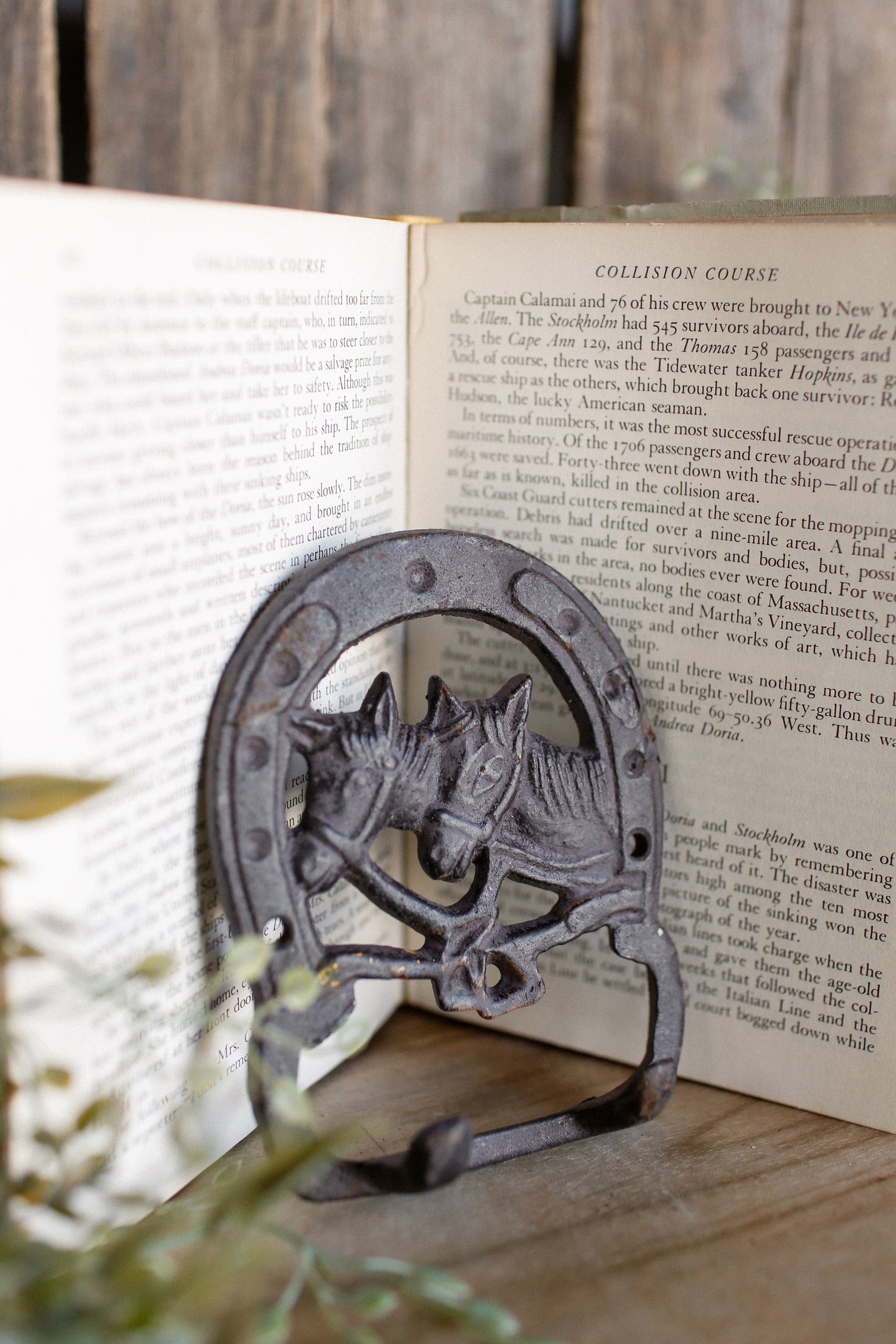Vintage Iron Horse Hooks The Little Burlap Barn®