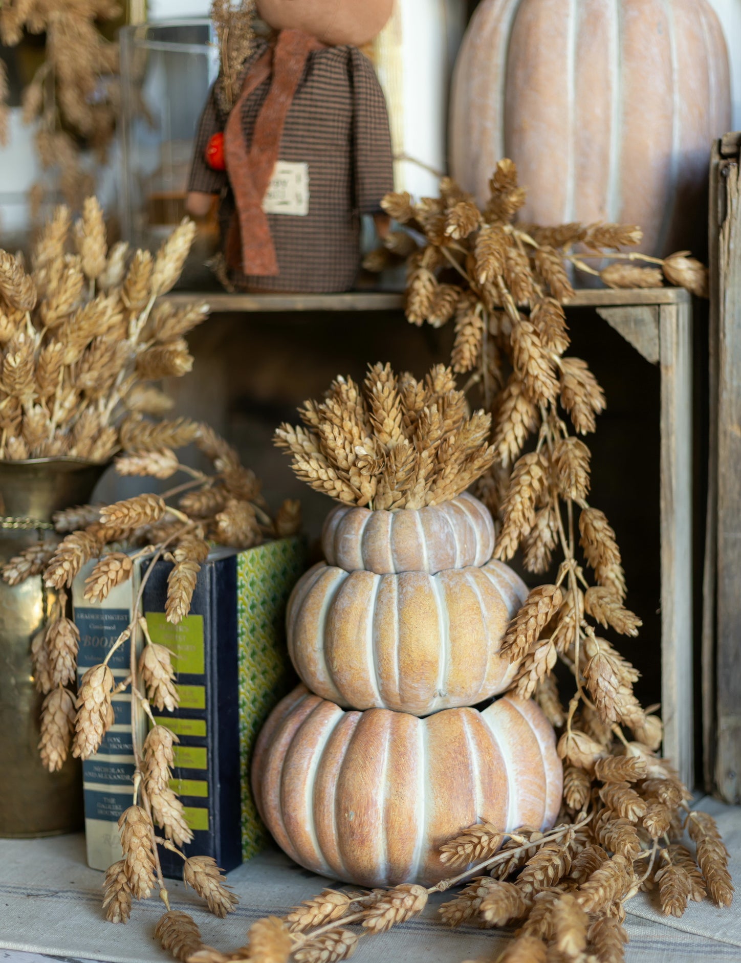 Cinderella Pumpkin Pot The Little Burlap Barn