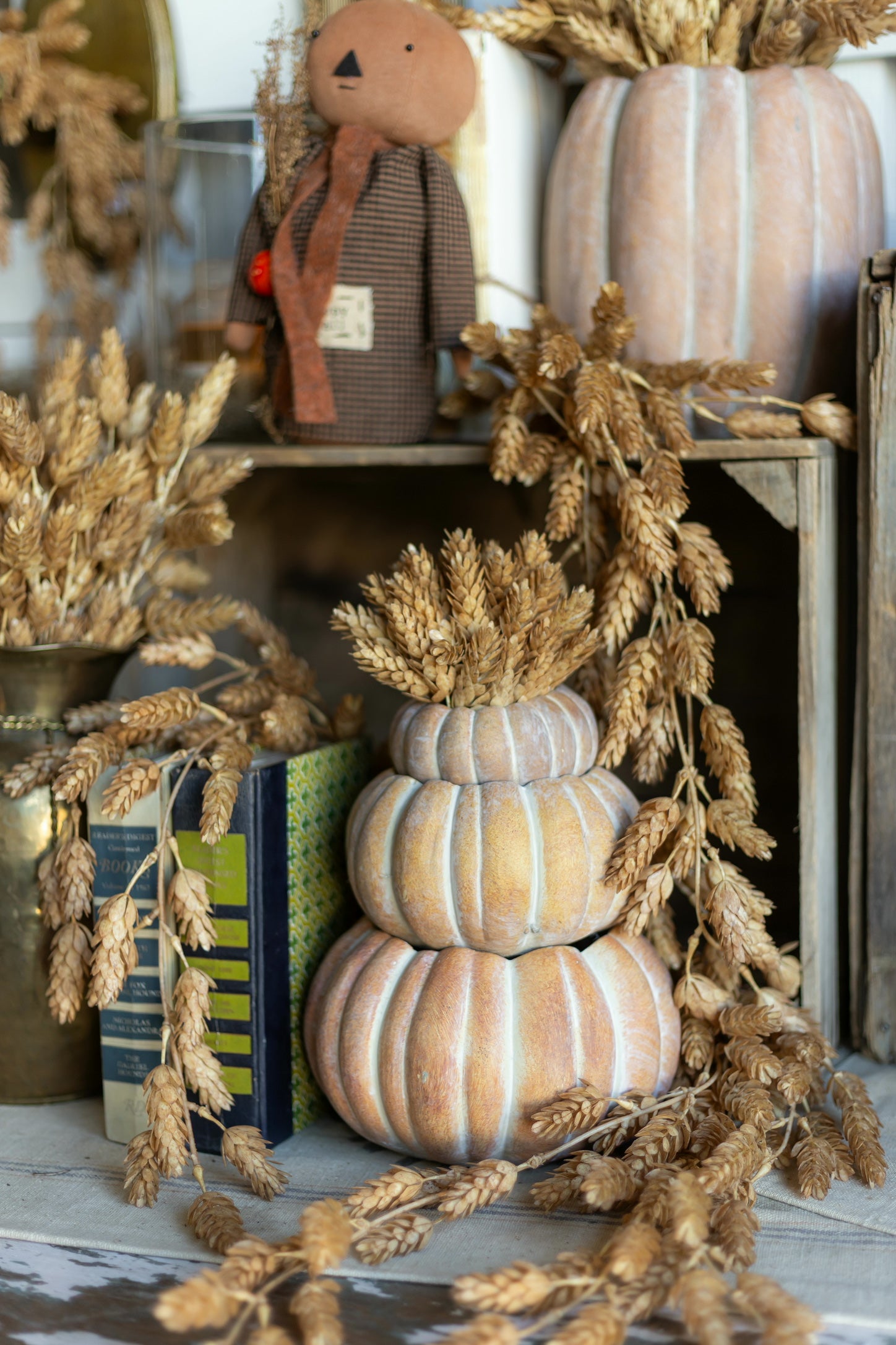 Cinderella Pumpkin Pot The Little Burlap Barn