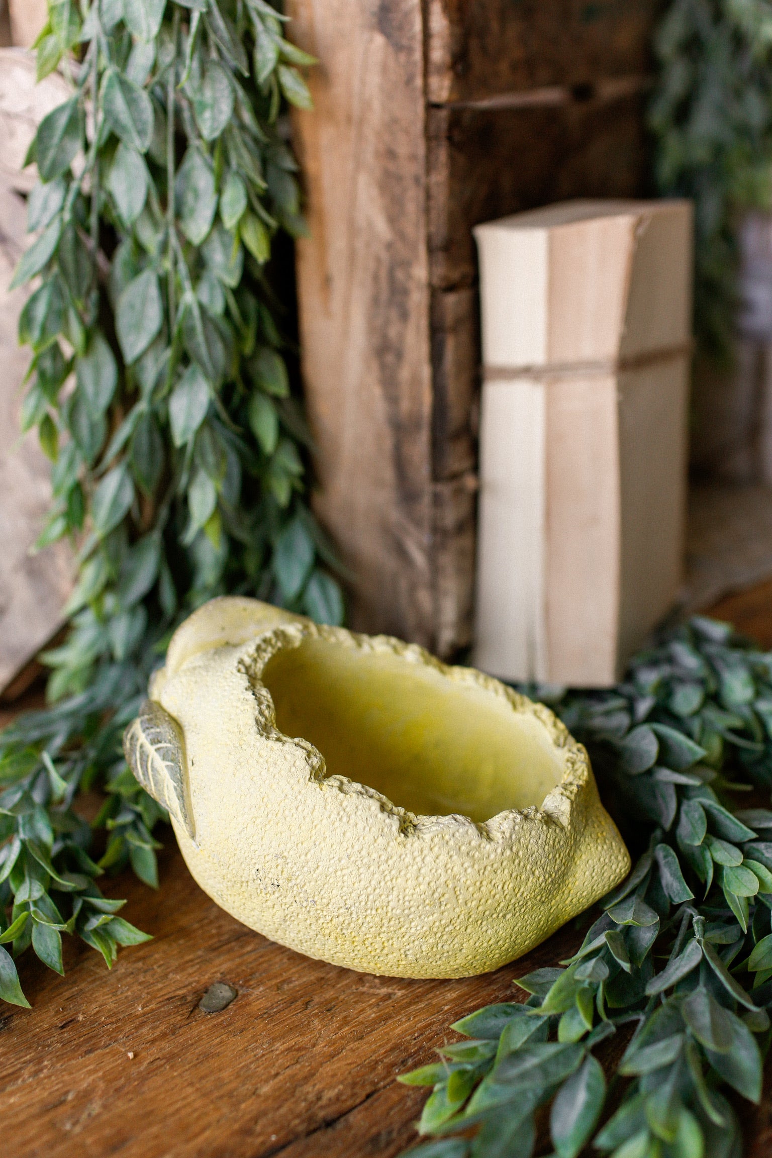 Lemon Concrete Planter