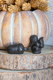 Cast Iron Acorn The Little Burlap Barn