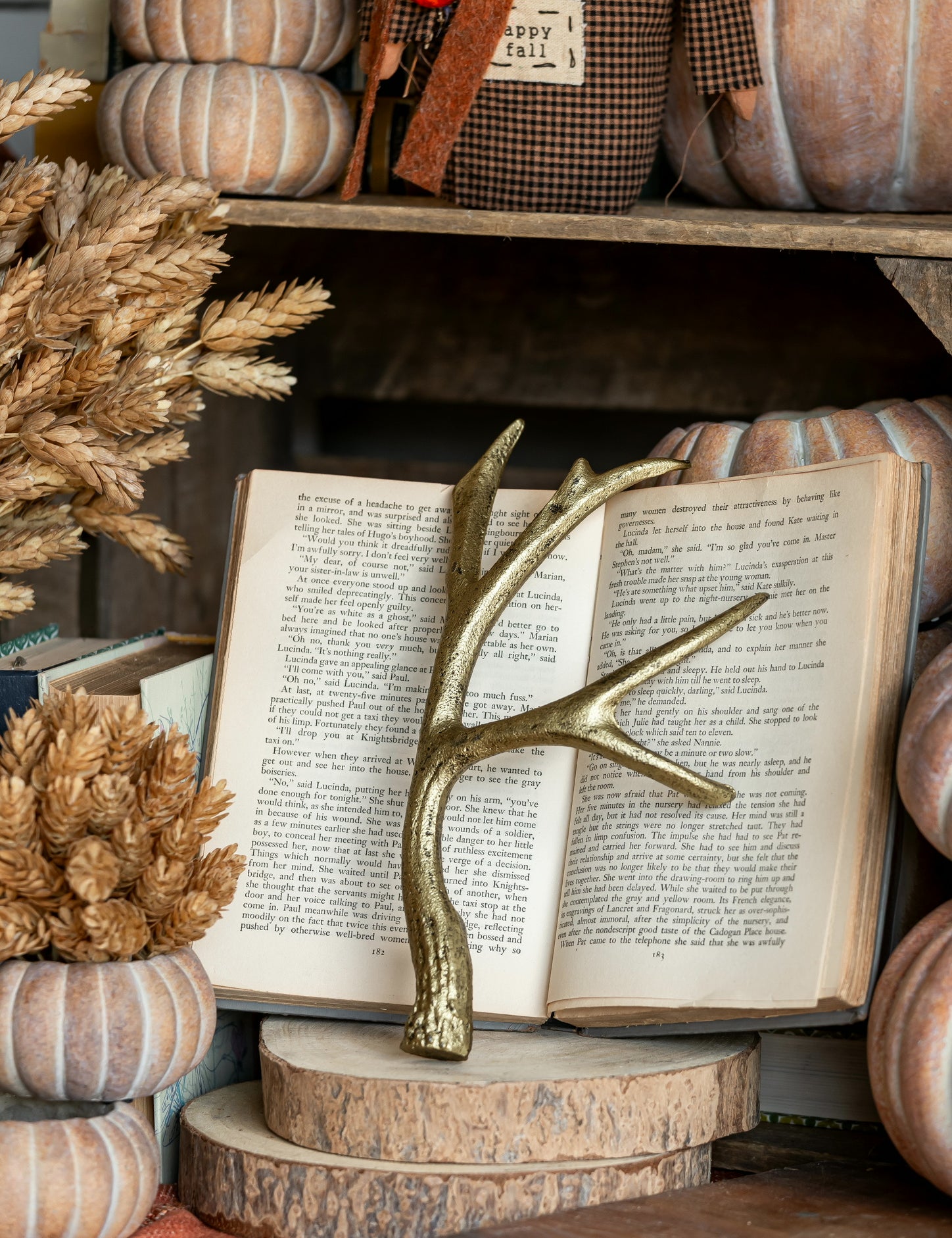 Gilded Cast Iron Antler Creative Co-Op