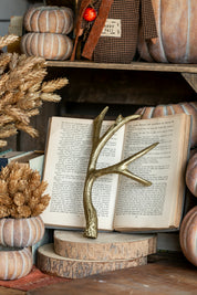 Gilded Cast Iron Antler Creative Co-Op