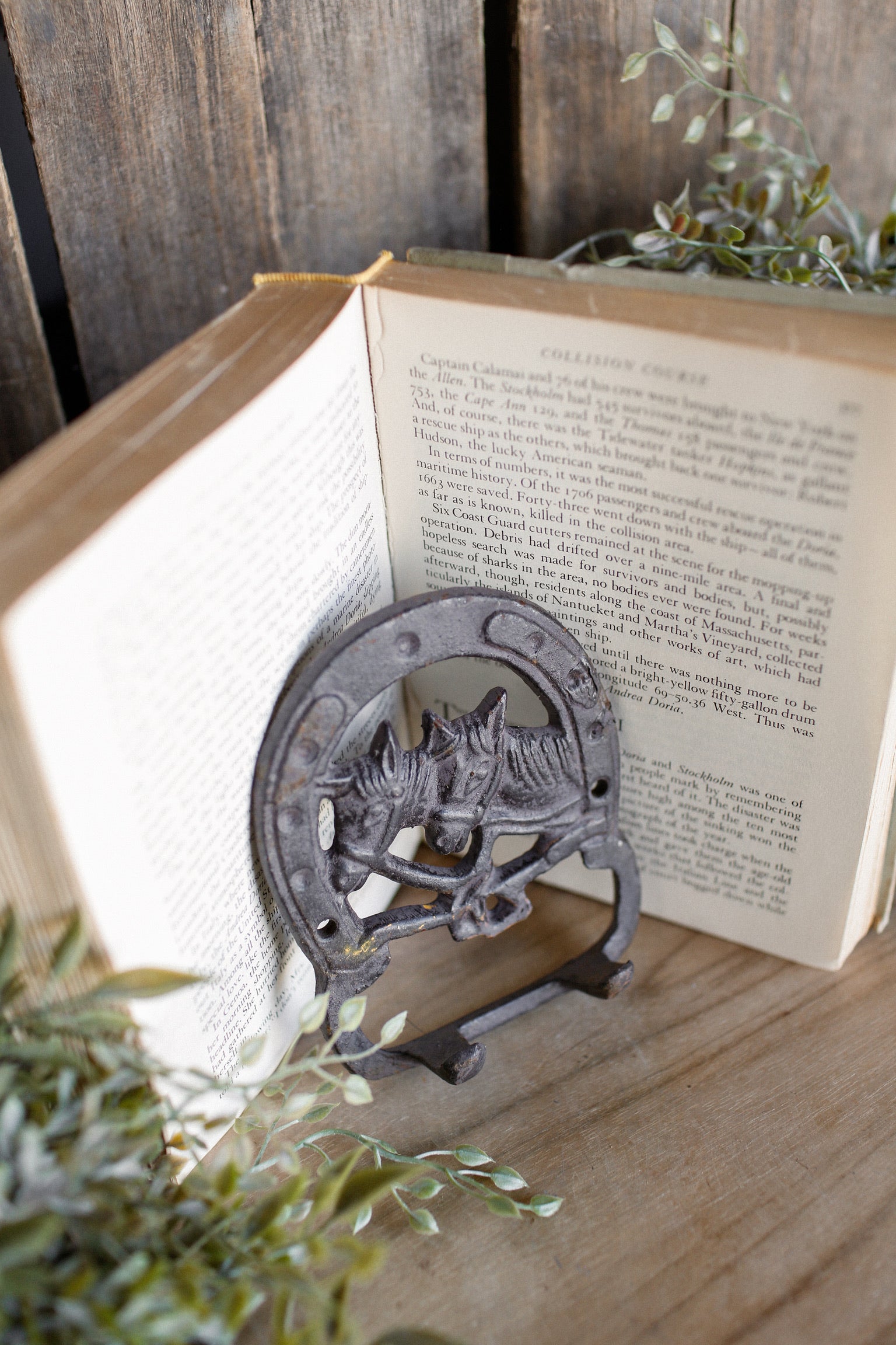 Vintage Iron Horse Hooks The Little Burlap Barn®