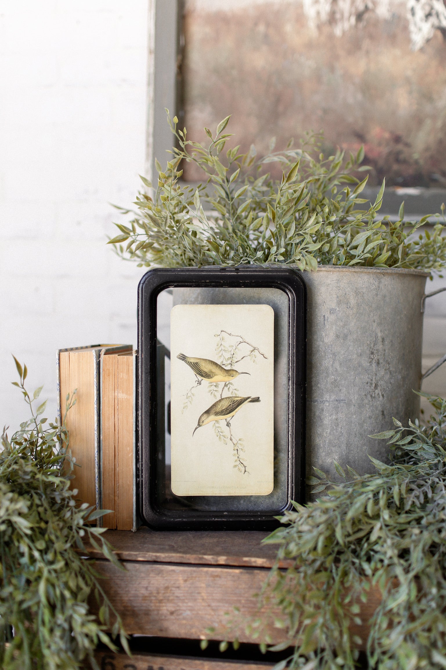 Bird Framed Picture The Little Burlap Barn®
