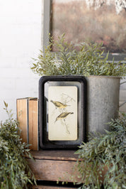 Bird Framed Picture The Little Burlap Barn®