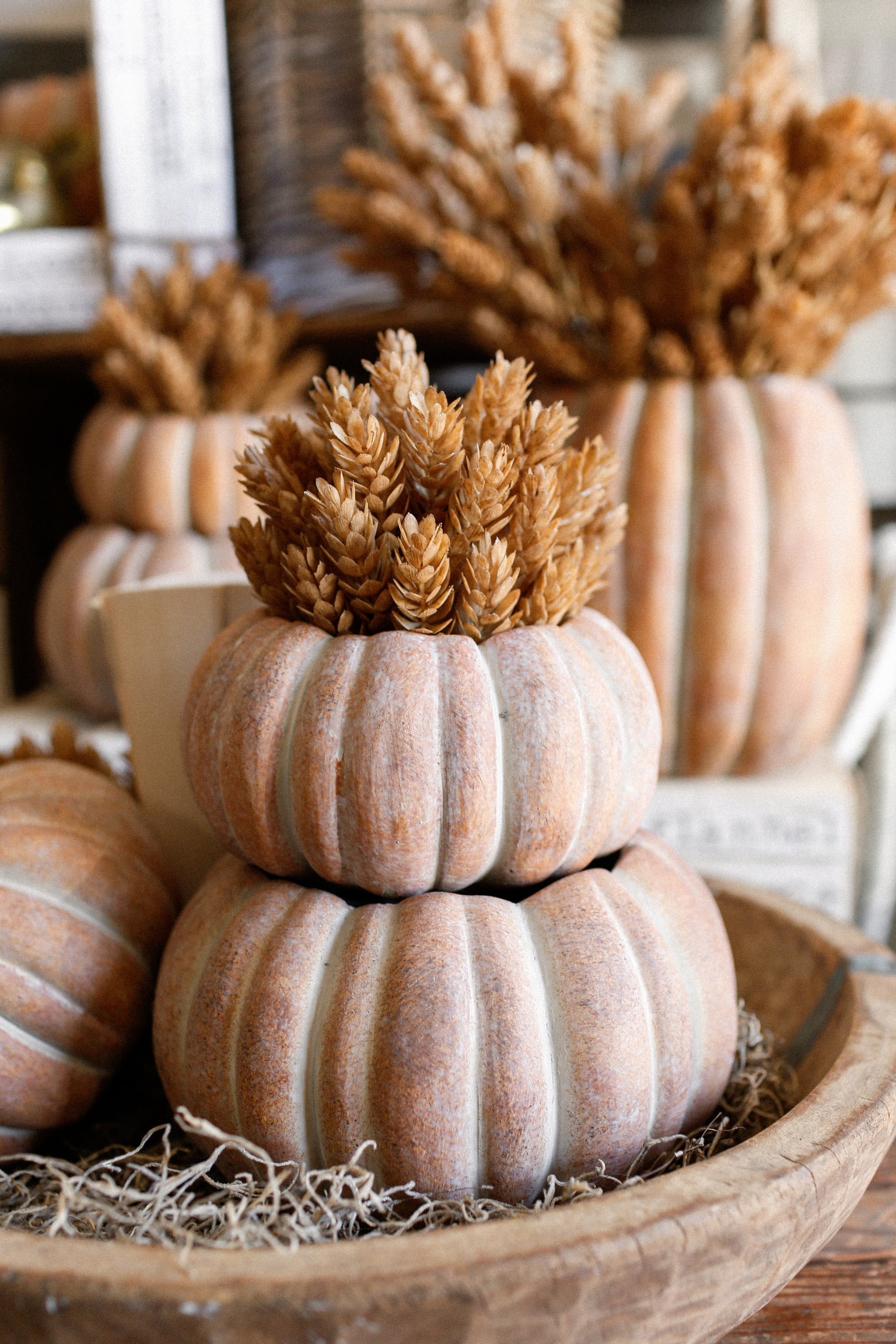 Cinderella Pumpkin Pot