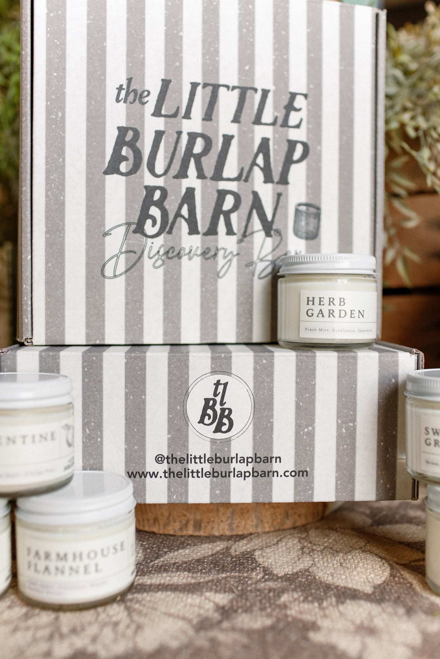 TLBB Candle Discovery Box