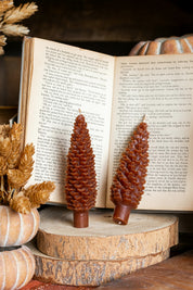Unscented Pinecone Taper Candles Creative Co-Op