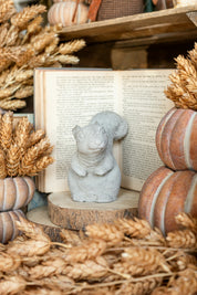 Vintage Concrete Squirrel The Little Burlap Barn
