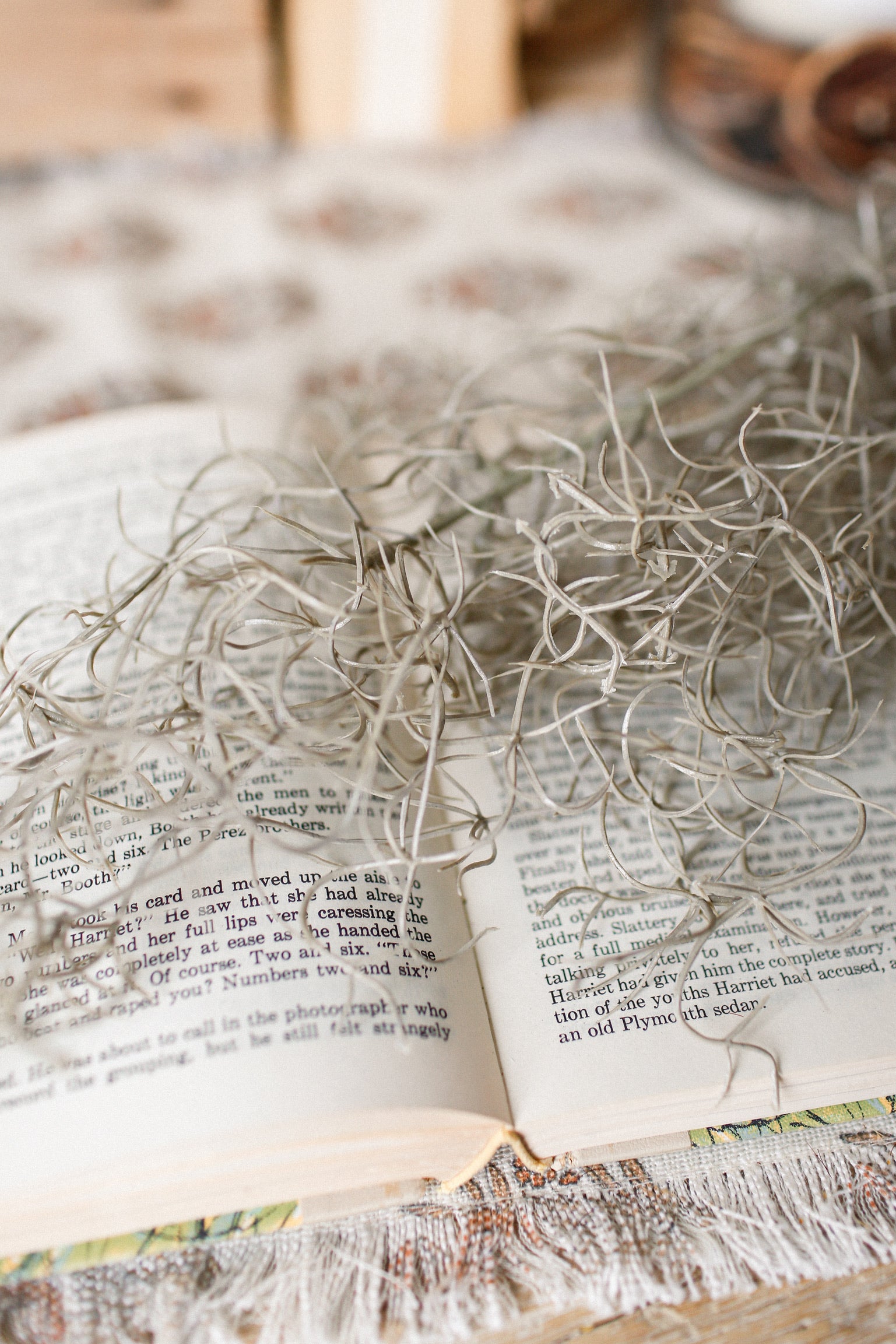 Spanish Moss Hanging Stem