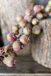 Berry Pod Garland