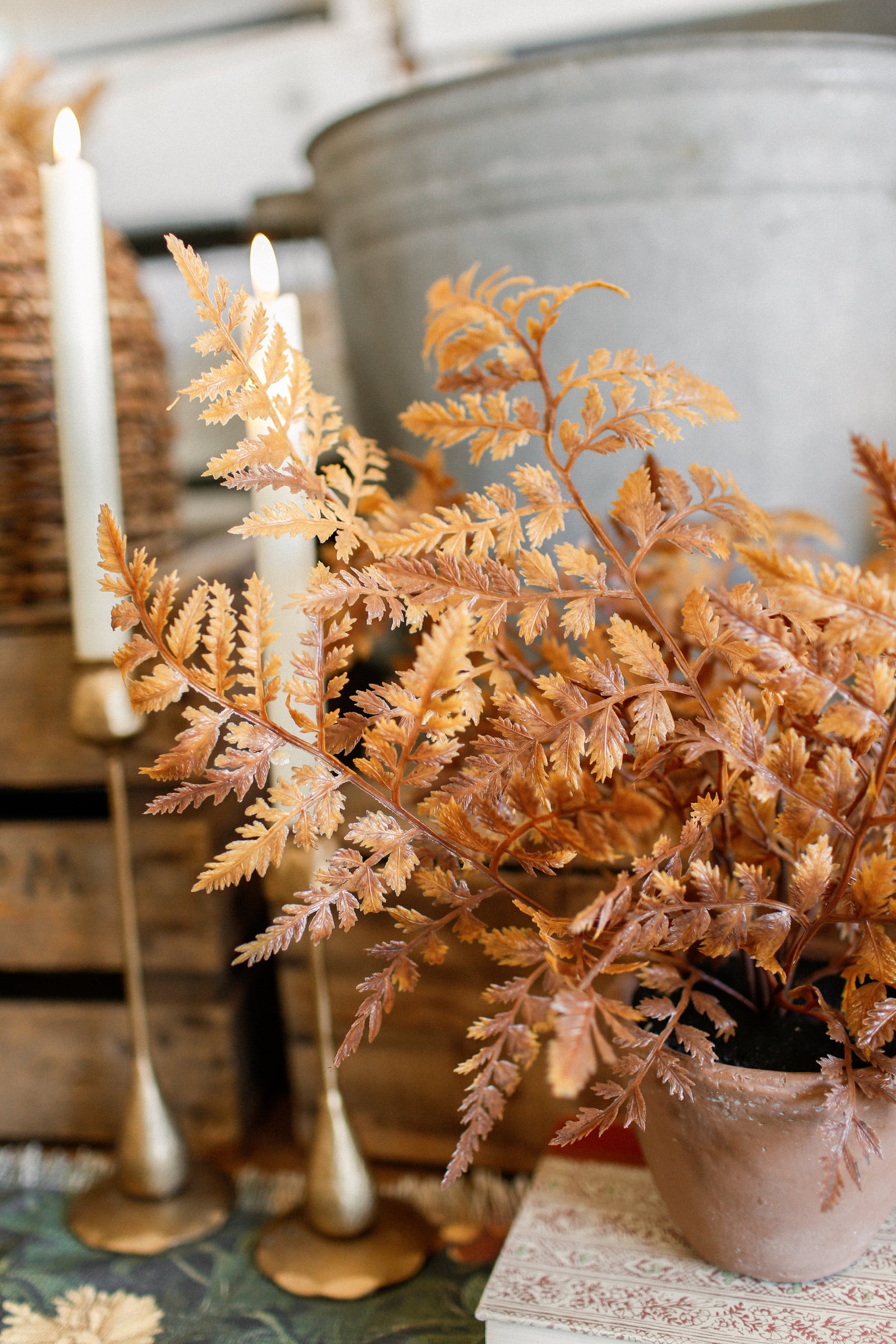 Potted Autumnal Fern