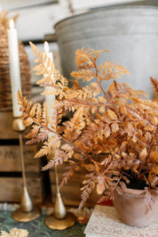 Potted Autumnal Fern