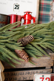 Norfolk Ridge Garland