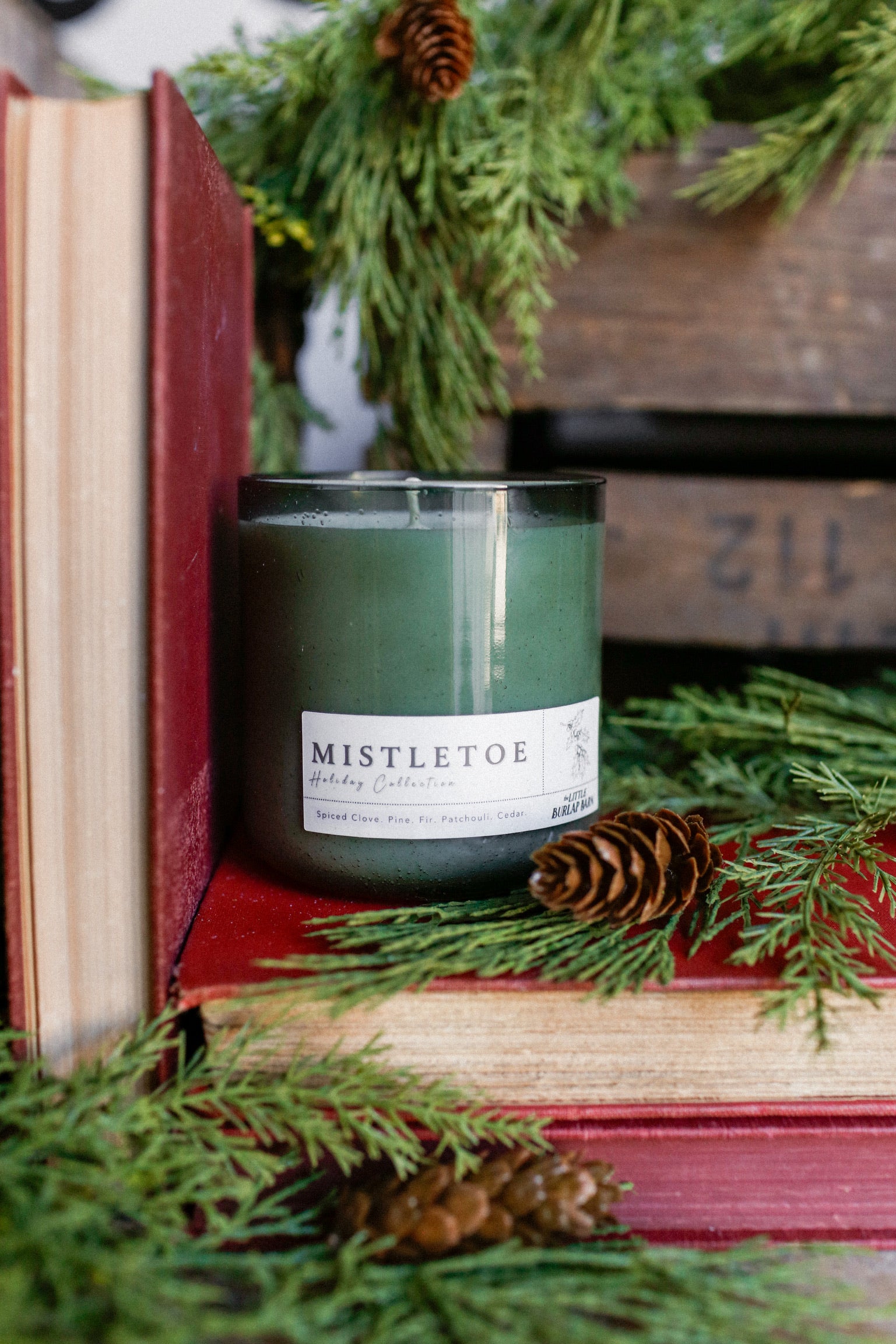 Olive Seeded Candle-Mistletoe