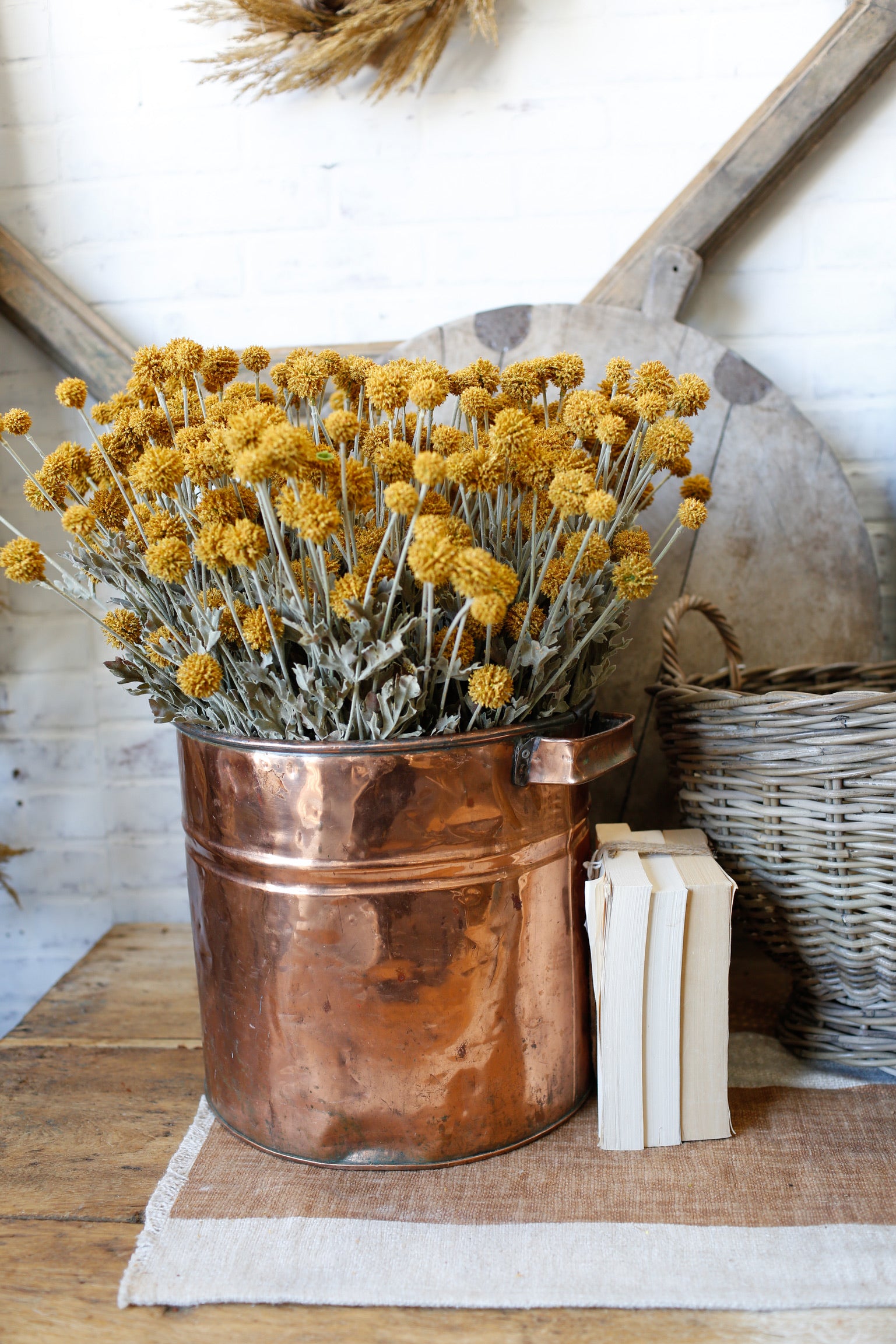 Whimsy Wildflower Bush (Mustard)