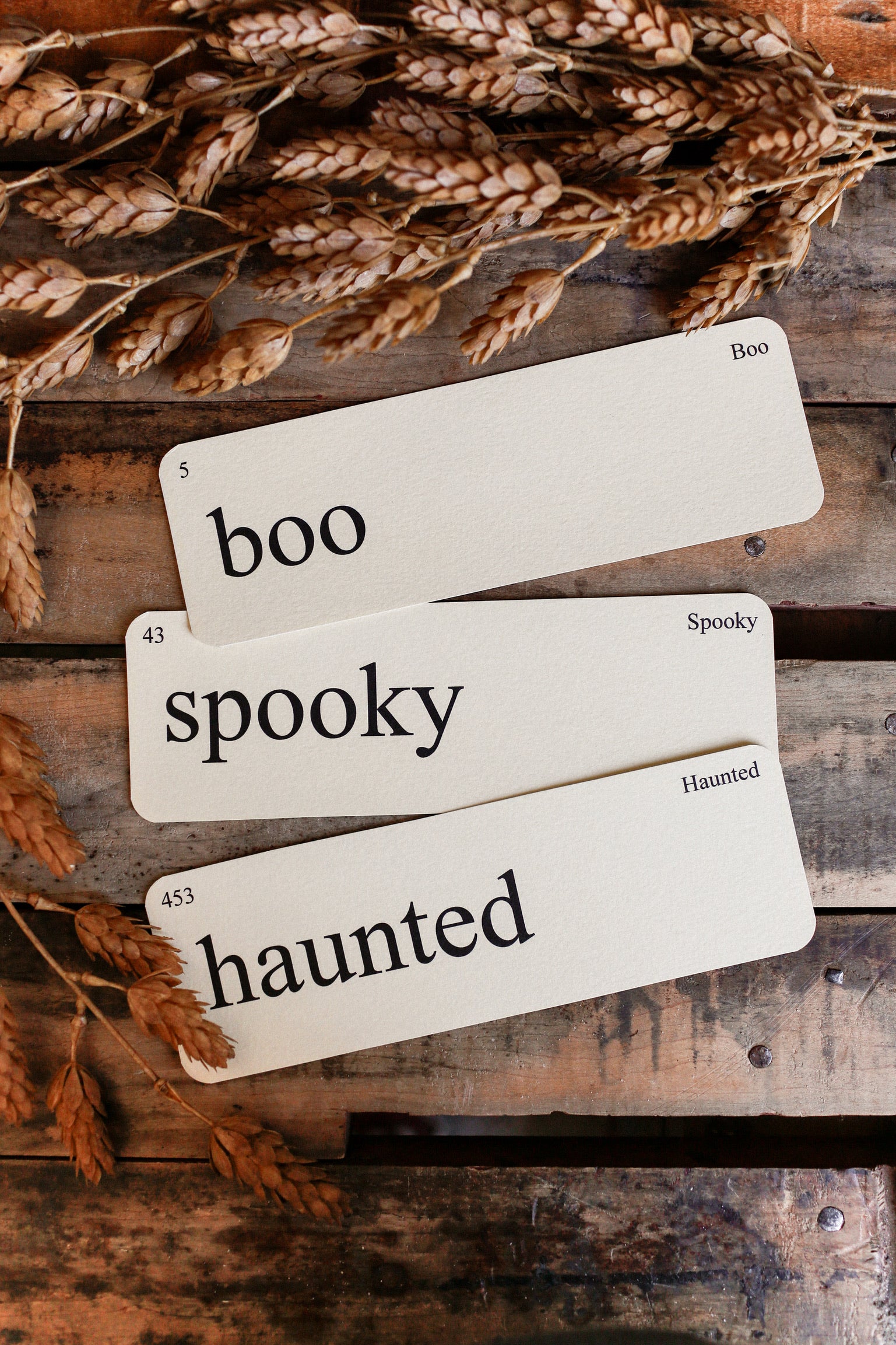 Halloween Flashcard